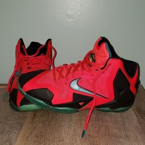 lebron james shoes 6